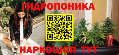 стафф Краснодар