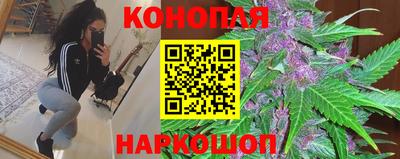 стафф Краснодар