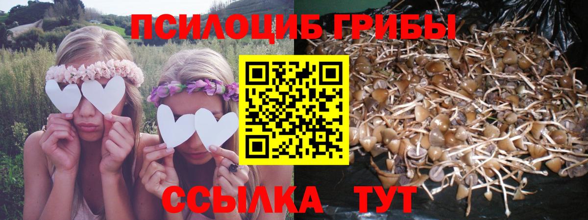Псилоцибиновые грибы Cubensis  Псилоцибиновые грибы мухоморы  Вход с VPN  Янаул 